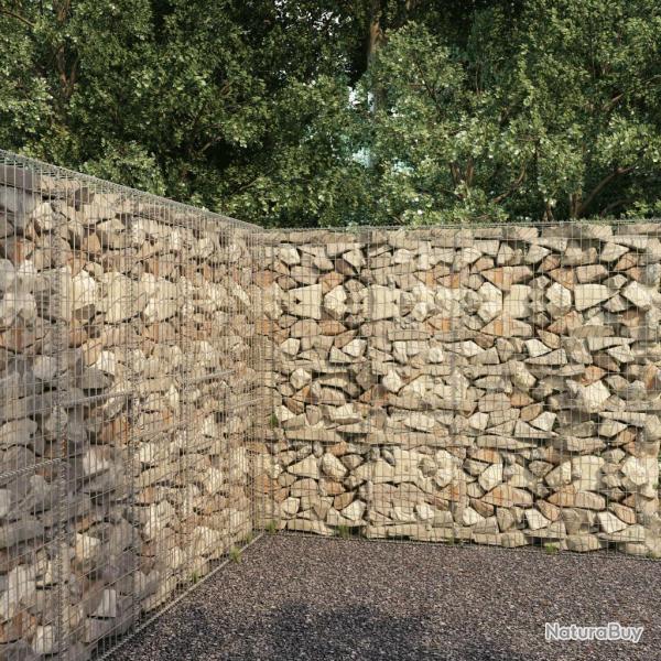 Mur en gabion avec couvercle Acier galvanis� 300 x 50 x 200 cm