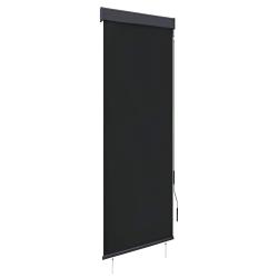 Store roulant d'ext&eacute;rieur 60 x 250 cm Anthracite