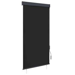 Store roulant d'ext&eacute;rieur 100 x 250 cm Anthracite