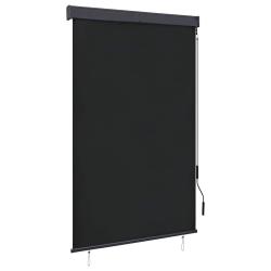 Store roulant d'ext&eacute;rieur 120 x 250 cm Anthracite