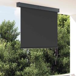 Store roulant d'ext&eacute;rieur anthracite, pour la terrasse, 120 &times; 250 cm