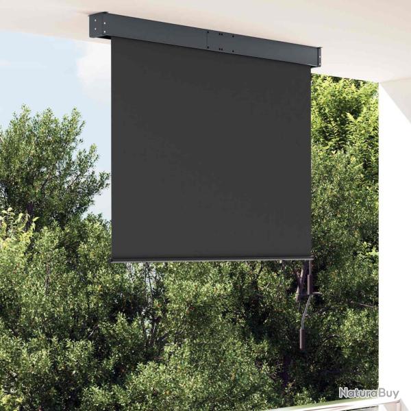 Store roulant d'ext�rieur anthracite, pour la terrasse, 120 � 250 cm