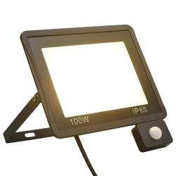 Projecteur &agrave; LED avec capteur 100 W Blanc chaud
