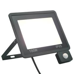 Projecteur &agrave; LED avec capteur 100 W Blanc froid