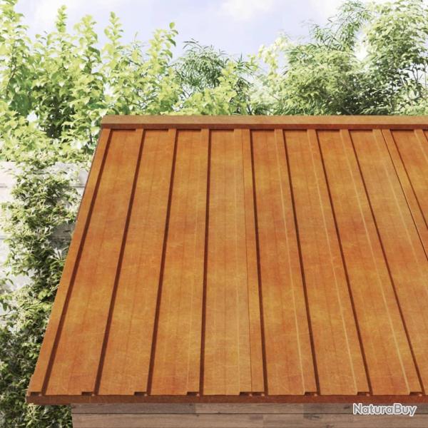 Panneaux de toiture 12 pcs rouill� 60x44 cm Acier corten