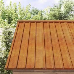 Panneaux de toiture 12 pcs rouill&eacute; 100x44 cm Acier corten