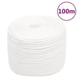 Corde de bateau Blanc complet 10 mm 100 m Polypropyl&egrave;ne