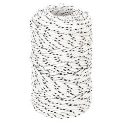 Corde de bateau tress&eacute; Blanc 2 mmx100 m Polyester