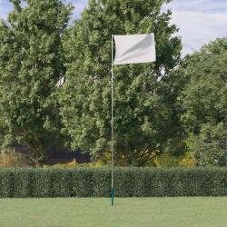 M&acirc;t de drapeau t&eacute;lescopique Argent&eacute; 5,5 m Aluminium