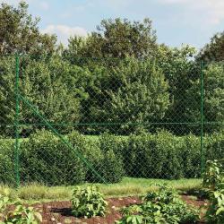 Cl&ocirc;ture &agrave; mailles losang&eacute;es avec piquet d'ancrage vert 1,6x25 m
