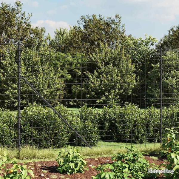 Cl�ture en treillis m�tallique anthracite 1,6x25 m