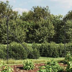 Cl&ocirc;ture en treillis m&eacute;tallique anthracite 2,2x25 m