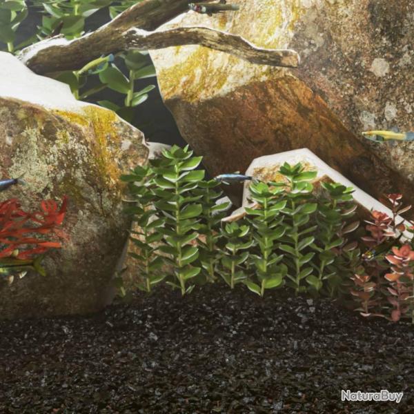 Sable pour aquarium 10 kg noir 0,2-2 mm