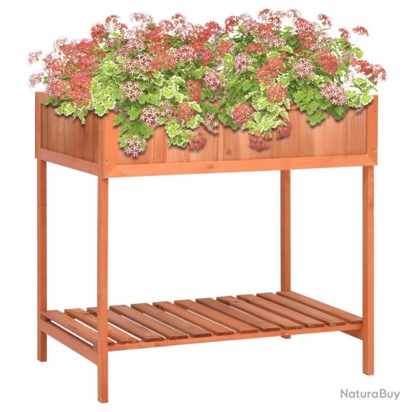 Jardini�re � herbes 80x60x80 cm Bois de sapin massif