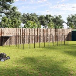 Chenil Noir 19,36 m&sup2; Acier