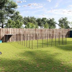 Chenil Noir 25,41 m&sup2; Acier
