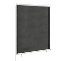 Store roulant d'ext&eacute;rieur 65 (l) x 140 (H) cm anthracite