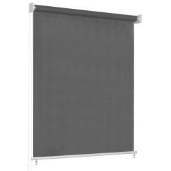 Store roulant d'ext&eacute;rieur 85 (l) x 230 (H) cm anthracite