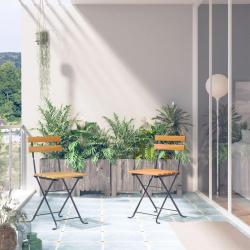 Chaises pliables de lot de 2 Acier et Bois acacia solide