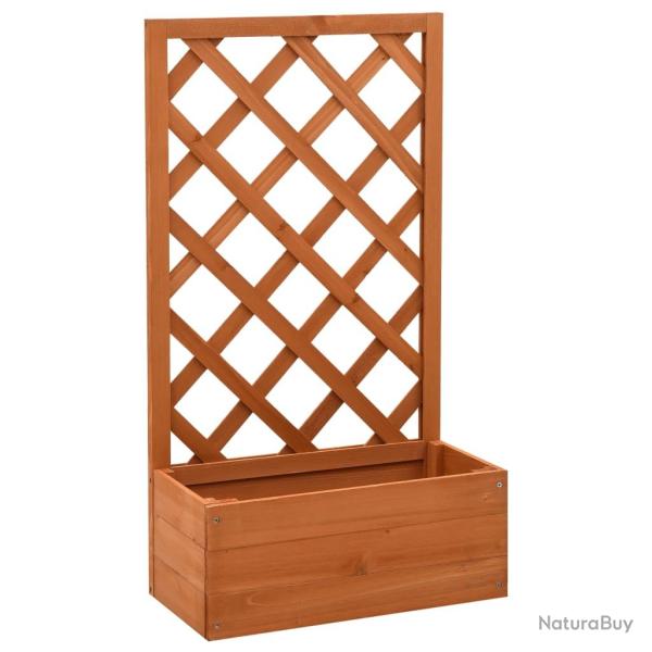 Jardini�re � treillis de Orange 50x25x90cm Bois de sapin
