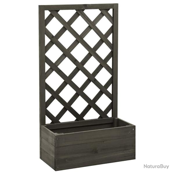 Jardini�re � treillis de Gris 50x25x90 cm Bois de sapin