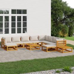 Salon de 12 pcs avec coussins gris clair bois massif