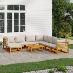 Salon de 9 pcs avec coussins gris clair bois massif