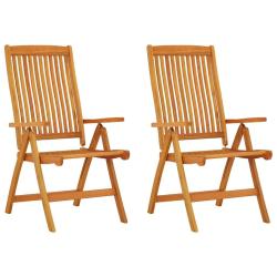 Chaises de pliables lot de 2 Bois d'eucalyptus massif