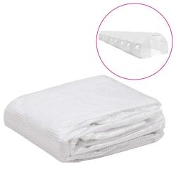 Couverture de remplacement de serre (36 m&sup2;) 3x12x2m Transparent