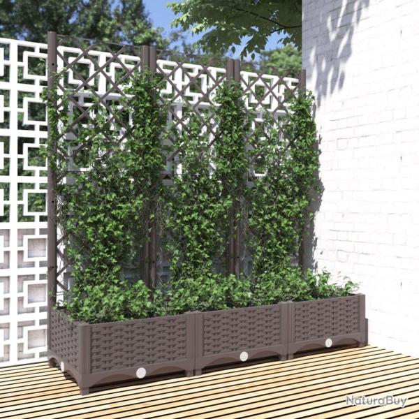 Jardini�re avec treillis Marron 120 x 40 x 121,5 cm PP
