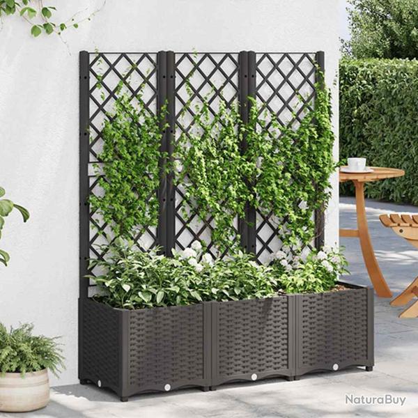 Jardini�re de avec treillis Noir 120 x 40 x 136 cm PP
