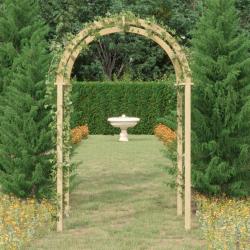 Arche 141x97x243 cm Bois de pin massif impr&eacute;gn&eacute;