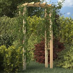 Arche en treillis 110x60x210 cm Bois de pin massif impr&eacute;gn&eacute;