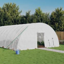 Serre avec cadre en acier blanc 48 m&sup2; 8x6x2,85 m