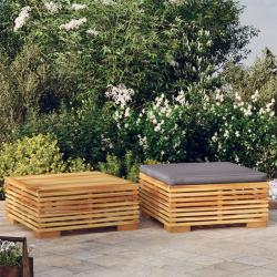 Salon de 2 pcs Bois de teck massif