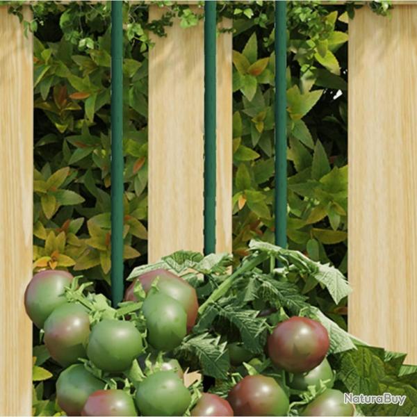Piquets pour plantes de 30 pcs vert 60 cm acier