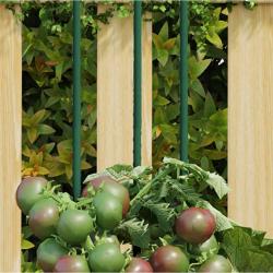 Piquets pour plantes de 30 pcs vert 90 cm acier