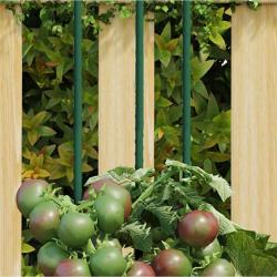 Piquets pour plantes de 30 pcs vert 150 cm acier