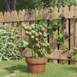 Supports pour plantes de 3 anneaux 5pcs Vert 45 cm Acier