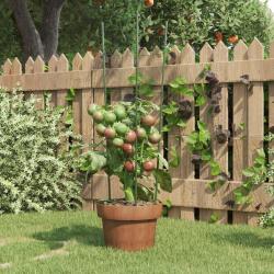 Supports pour plantes de 3 anneaux 5pcs Vert 60 cm Acier