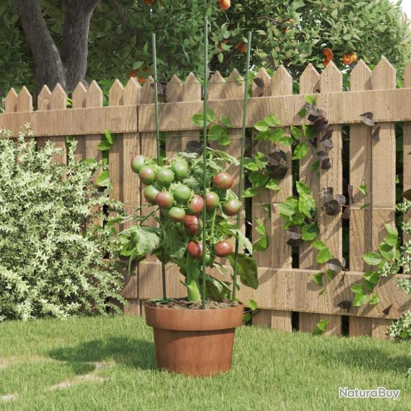 Supports pour plantes de 3 anneaux 5pcs Vert 60 cm Acier