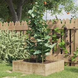 Supports pour plantes de 3 anneaux 5pcs Vert 75 cm Acier