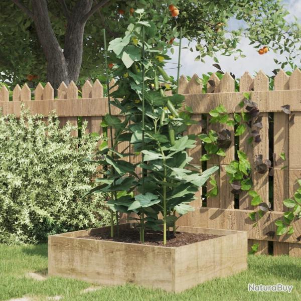 Supports pour plantes de 3 anneaux 5pcs Vert 75 cm Acier