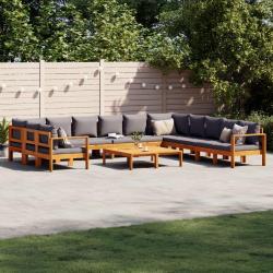 Salon de avec coussins 9 pcs bois massif d'acacia
