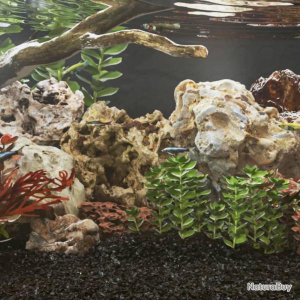 Pierres du dragon 10 kg m�lange de couleurs 10-30 cm