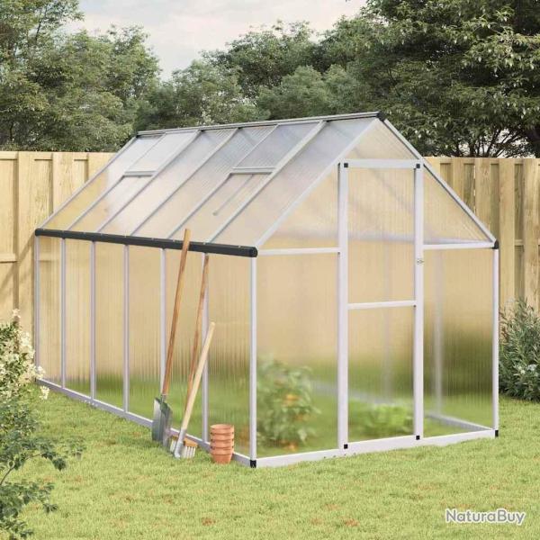 Serre avec cadre de base argent� 334x169x195 cm aluminium