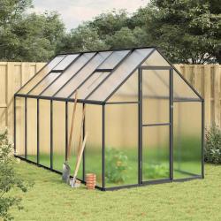 Serre avec cadre de base anthracite 334x169x195 cm aluminium