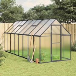 Serre avec cadre de base anthracite 445x169x195 cm aluminium