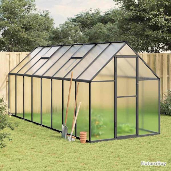Serre avec cadre de base anthracite 445x169x195 cm aluminium