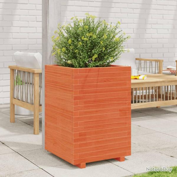 Jardini�re cire marron 50x50x72,5 cm bois de pin massif